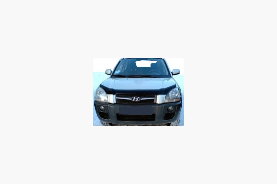 Hyundai Tucson JM 2004- гг. Дефлектор капота (SIM) Image