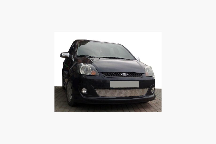 Ford Fiesta 2002-2008 гг. Передний бампер 2005-2008 (накладка, грунтованный) Фото 2