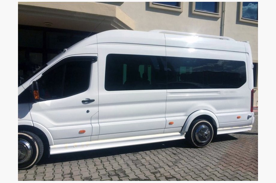 Ford Transit 2014- гг. Боковые пороги (грунтованные под покраску) Image