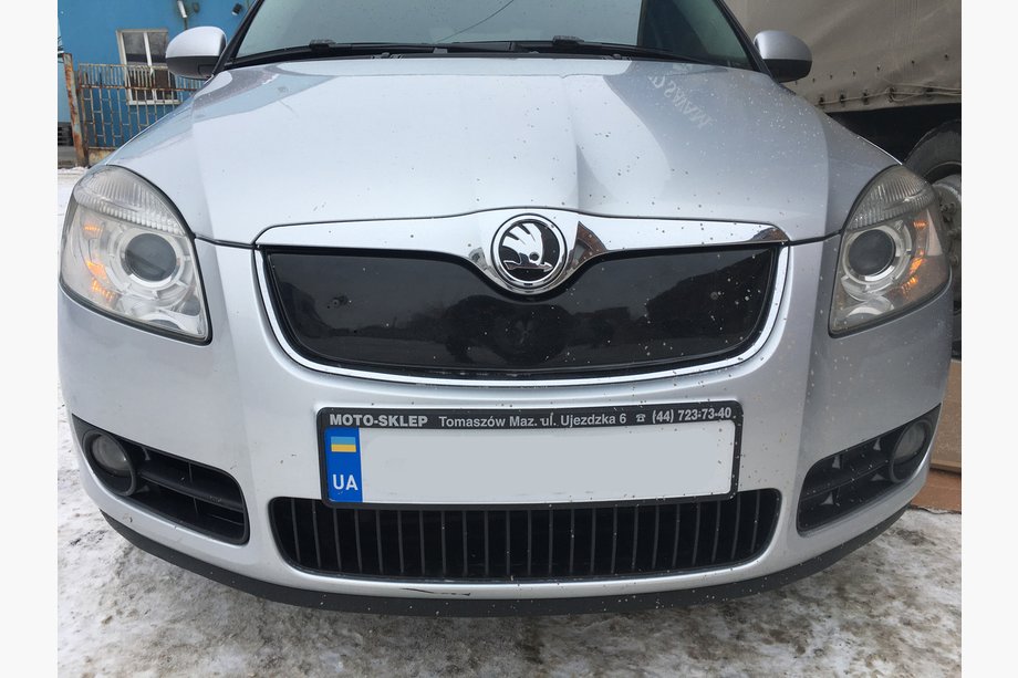 Skoda Fabia 2007-2014 гг. Зимняя накладка на решетку радиатора (2007-2010, верхняя) Image