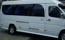Mercedes Sprinter W901/902/903/904/905 1995–2006 гг. Боковые пороги (стекловолокно, грунтованные под покраску) фото 1