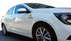Renault Megane IV 2016-2025 гг. Накладка на крыло 2016-2020 (нержавейка) фото 1