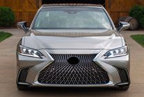 Lexus ES 2012-2018 гг. Передняя Решетка 2015-2018 (F-Sport) фото 2