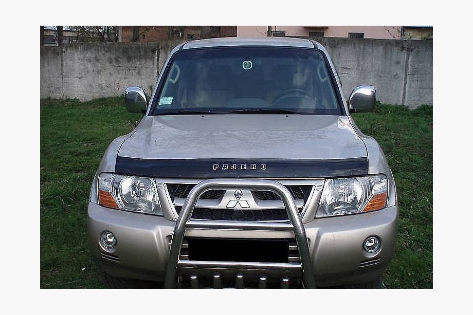 Mitsubishi Pajero Wagon III 1999-2006 гг. Дефлектор капота (VIP) Image