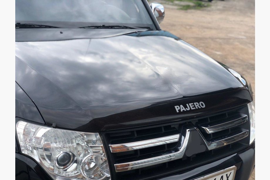 Mitsubishi Pajero Wagon IV 2006-2021 гг. Дефлектор капота (SIM) Image
