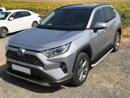 Toyota Rav 4 2019–2025 гг. Боковые Подножки Tayga Grey (2 шт., Алюминий) фото 1
