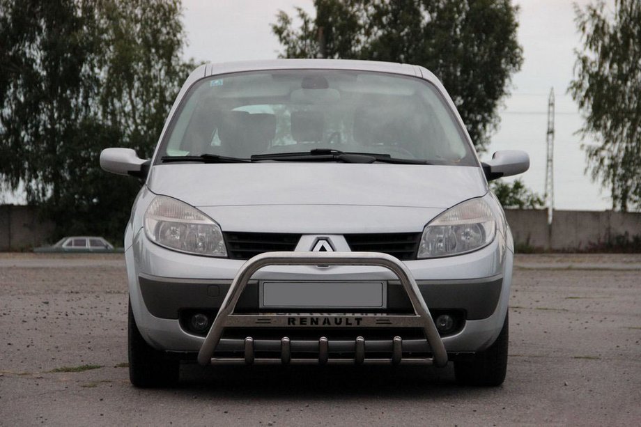 Renault Scenic/Grand 2003-2009 гг. Кенгурятник WT004 (нержавейка) Image