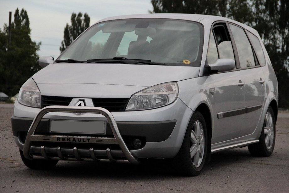 Renault Scenic/Grand 2003-2009 гг. Кенгурятник WT004 (нержавейка) Фото 2