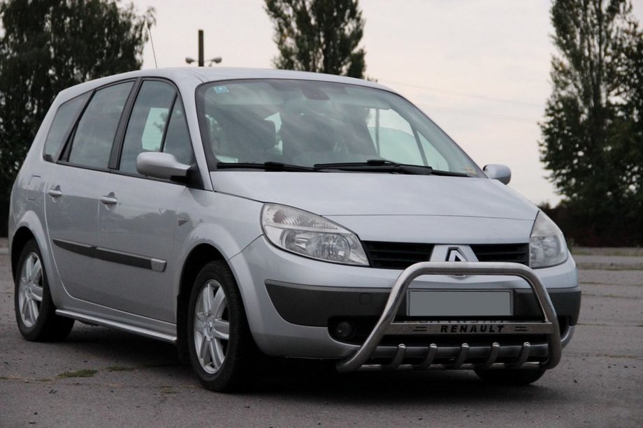 Renault Scenic/Grand 2003-2009 гг. Кенгурятник WT004 (нержавейка) Фото 3