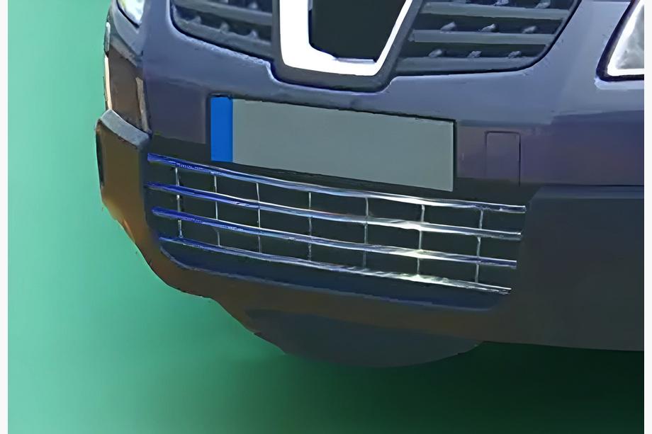 Nissan Qashqai 2007-2010 гг. Решетка бампера (нержавейка) Image