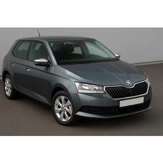 Накладки на зеркала с вырезом под поворотник (2 шт, нержавейка) Skoda Fabia 2014-2021 гг. фото 1