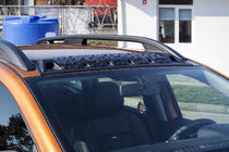 Renault Duster 2018-2024 гг. Козырек Лобового Стекла EuroCap фото 1
