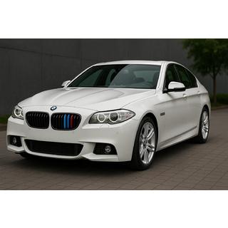 Вставки в решетку радиатора 2010-2013 (3 шт) BMW 5 серия F10/F11 2010–2016 гг. фото 1