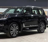 Lexus LX 500d/600 2022- гг. Черные молдинги на двери F-Sport белый+черный (4 шт, ABS) фото 4