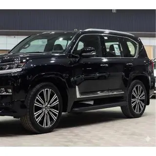 Черные молдинги на двери F-Sport белый+черный (4 шт, ABS) фото 4