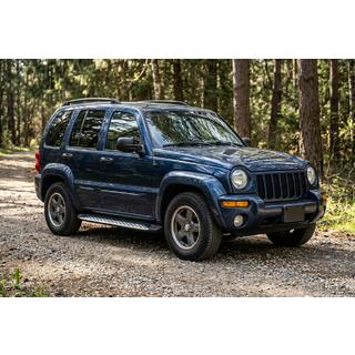 Боковые Подножки Shining V1 (2 шт., Алюминий) фото 1