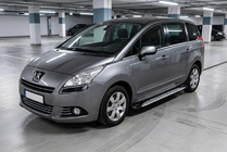 Peugeot 5008 2009-2016 гг. Боковые Подножки Shining V1 (2 шт., Алюминий) фото 1
