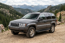 Jeep Grand Cherokee WJ 1999-2004 гг. Боковые Подножки Allmond Black (2 шт., Алюминий) фото 1