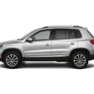 Молдинги на двери Нержавеющая сталь (4 шт) Volkswagen Tiguan 2007-2016 гг. фото 1