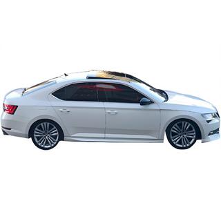 Боковые Пороги DPT V-2 (Под Покраску) Skoda Superb 2015-2024 гг. фото 1