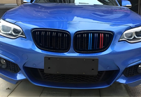 BMW 2 серия F22/F23 2014-2021 гг. Решетки радиатора M-Look (M-Color) фото 3