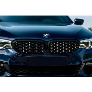 Ноздри Diamond Silver V1 (2017-2020, черная окантовка) фото 1