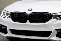 BMW 5 серия G30/G31 2017–2023 гг. Ноздри Diamond Black V1 (2017-2020, черная окантовка) фото 1