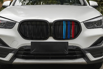 BMW X1 F48 2015-2022 гг. Ноздри M-Look (2020-2022, M-Color) фото 1