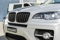 BMW X5 E70 2007-2013 гг. Ноздри M-Look (черный матовый) фото 1