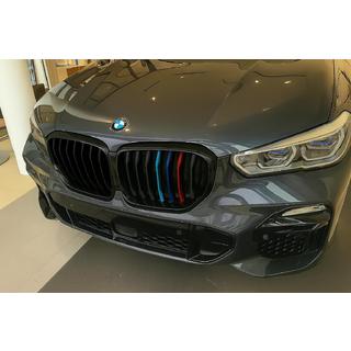 Ноздри 1 Полоса (2019-2022, M-Color) BMW X5 G05 2019–2026 гг. фото 1