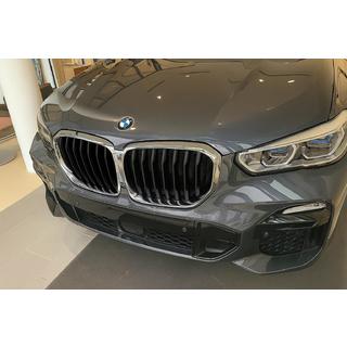 Ноздри 1 Полоса (2019-2022, Черный Глянец с Хромированной Окантовкой) BMW X5 G05 2019–2026 гг. фото 1