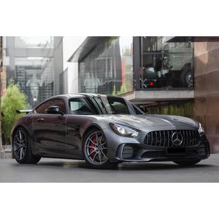Передняя решетка GT Panamericana (2018+) Mercedes AMG GT C190/R190 2014-2022 гг. фото 1