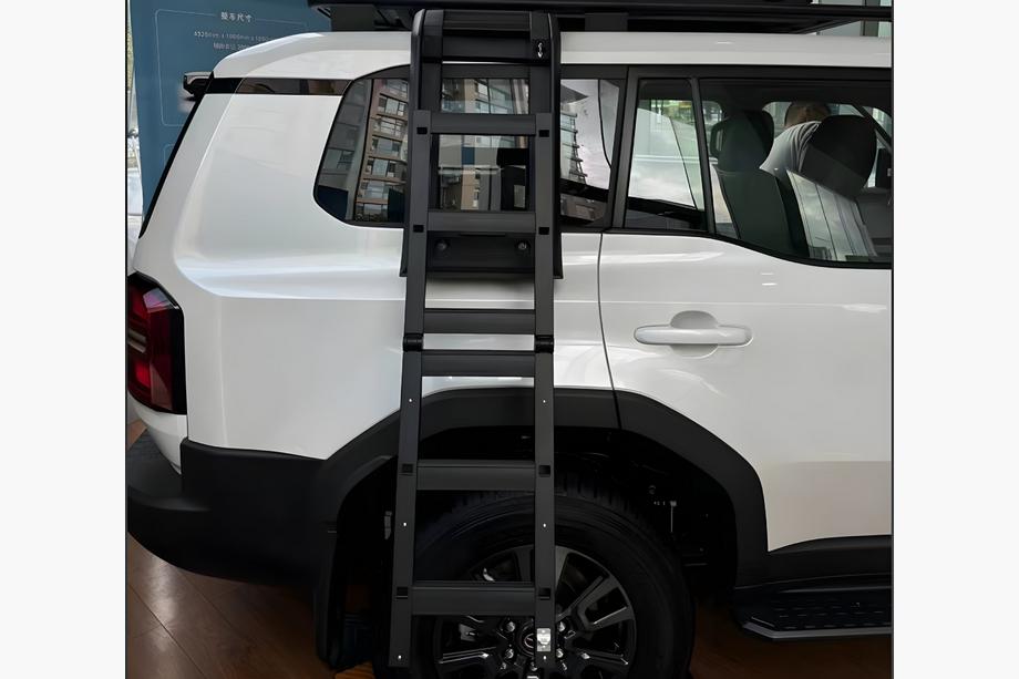 Toyota Land Cruiser Prado 250 2023- гг. Боковая лестница Image