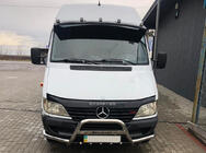 Mercedes Sprinter W901/902/903/904/905 1995–2006 гг. Кенгурятник Exclusive (нерж. сталь) 1995-2000 фото 2
