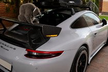 Porsche 911 (991) 2011–2019 гг. Спойлер V4 (Карбон) фото 2