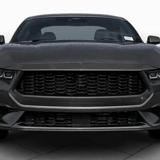Решетка радиатора (для S650, Карбон) фото 2