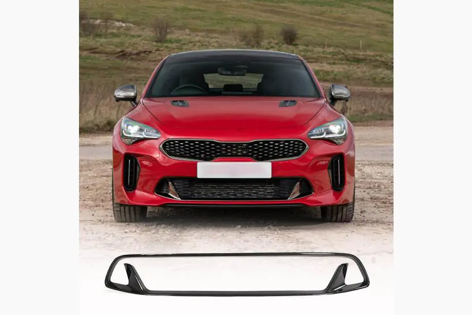 Kia Stinger 2017-2023 гг. Решетка бампера (Карбон) Image