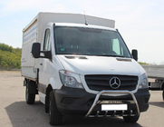 Mercedes Sprinter W906 2006–2018 гг. Кенгурятник WT003 (нержавейка) 60мм, с надписью фото 1