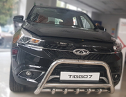 Chery Tiggo 7 2016-2019 гг. Кенгурятник WT003 (нержавейка) фото 2