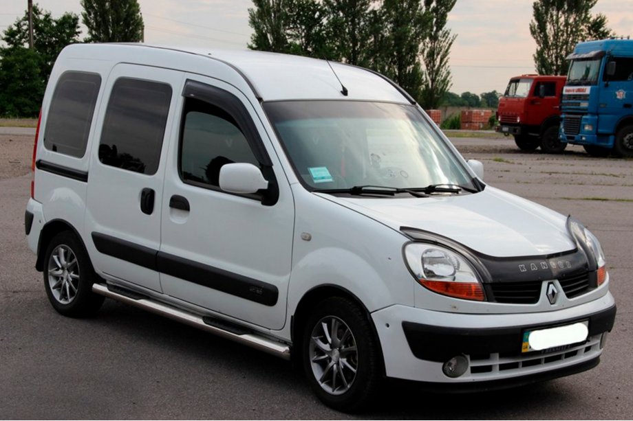 Renault Kangoo 1998-2008 гг. Боковые трубы (2 шт., нержавейка) Фото 4