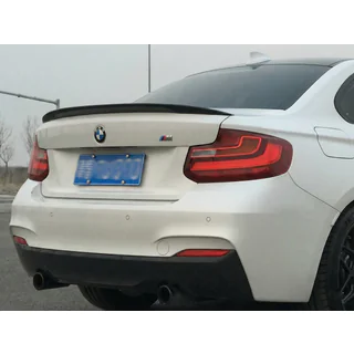 Спойлер P-Style (для F22, Черный Глянец)