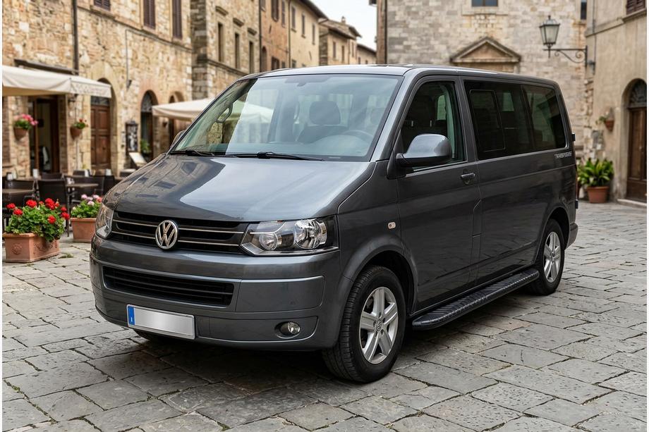 Volkswagen T5 2010-2015 гг. Боковые пороги Bosphorus Black (2 шт., алюминий) Короткая База Image