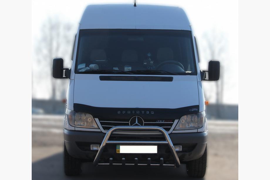 Mercedes Sprinter W901/902/903/904/905 1995–2006 гг. Кенгурятник WT003 (нержавейка) 1995-2000 Image