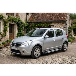 Боковые Подножки Rainbow (2 шт., Алюминий) Dacia Sandero 2007-2013 гг. фото 1