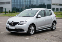 Renault Sandero 2013-2022 гг. Боковые Подножки Tayga Grey (2 шт., Алюминий) фото 1