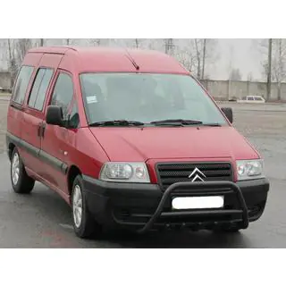 Кенгурятник WT003 Черный Нержавейка фото 4