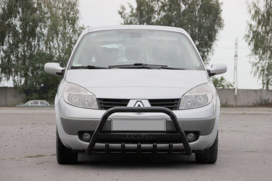 Renault Scenic/Grand 2003-2009 гг. Кенгурятник WT004 Черный (Нержавейка) Image