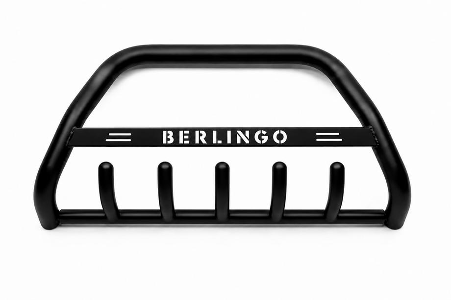 Citroen Berlingo 1996-2008 гг. Кенгурятник WT004 Черный (Нержавейка) Image