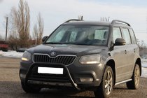 Skoda Yeti 2009-2017 гг. Кенгурятник WT003 Черный Нержавейка фото 4