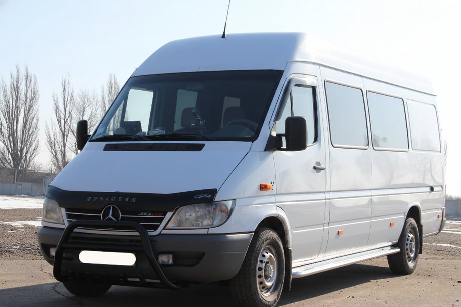 Mercedes Sprinter W901/902/903/904/905 1995–2006 гг. Кенгурятник WT003 Черный (Нержавеющая сталь) 1995-2000 Image